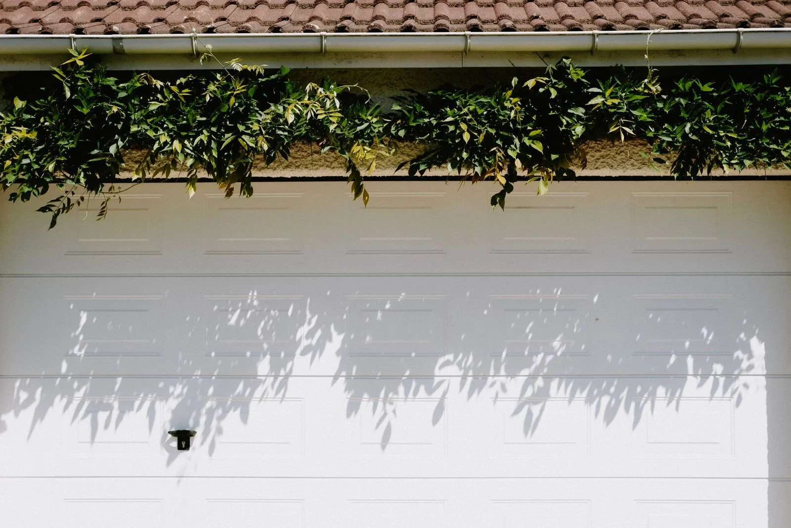 secondary — illustrative garage doors photography